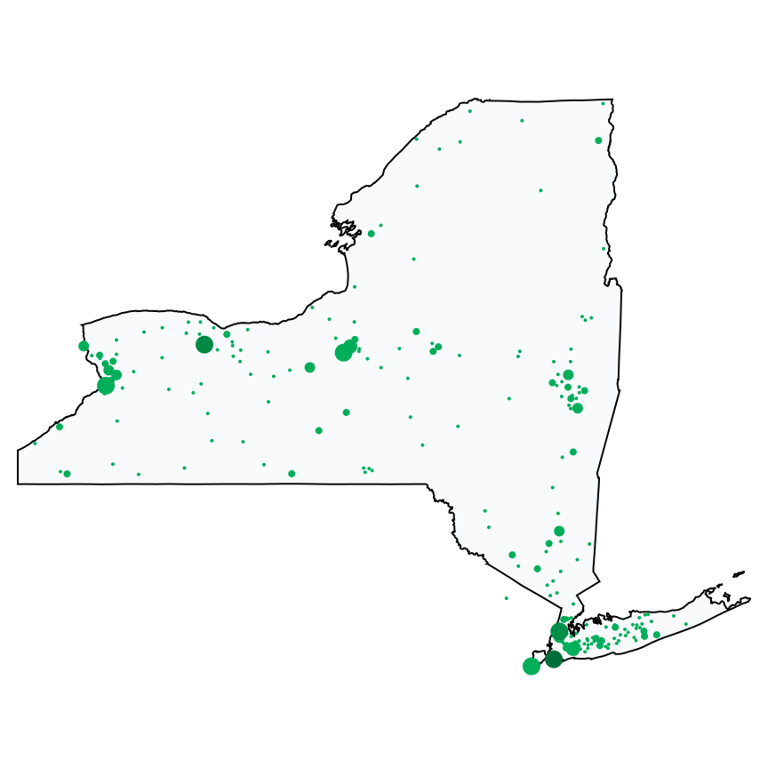 A map showing all Dollar Tree locations in New York